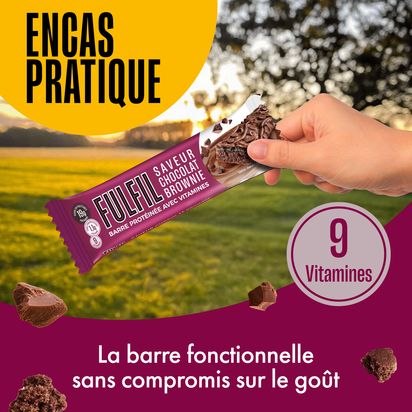 Barre Protéinée Saveur Chocolat Brownie